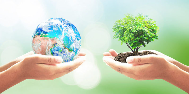 Ecología y Medio Ambiente